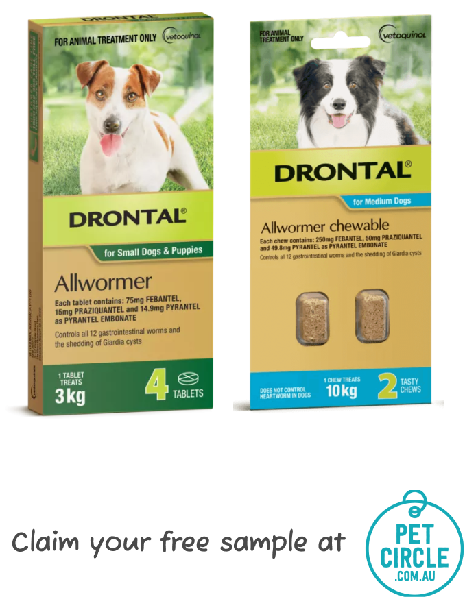 drontal-pet-circle (1)